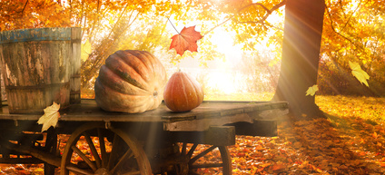 Kulinarischer Kalender - Herbstbild